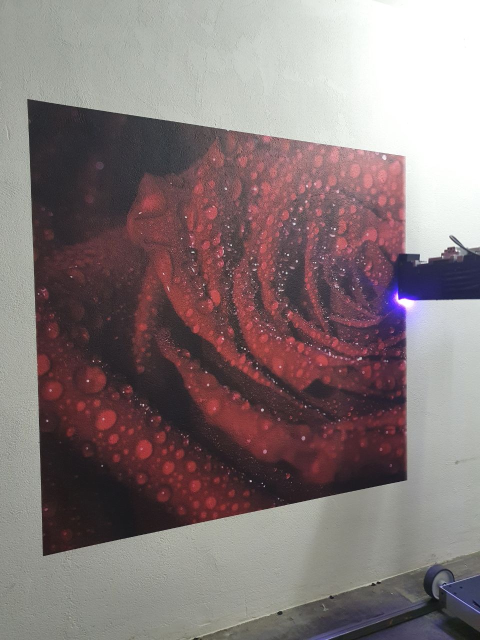 Makroaufnahme einer roten Rose als Wanddruck im Innenbereich