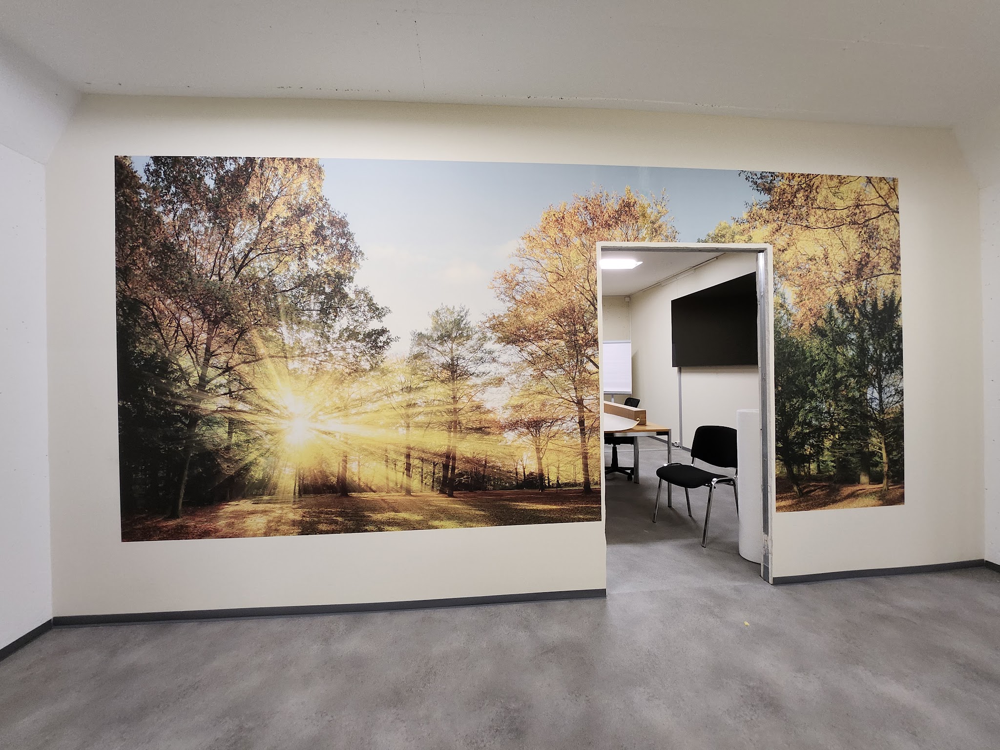 Grossformatiger Wald-Wanddruck von Swiss WallPen in einem Bürogang